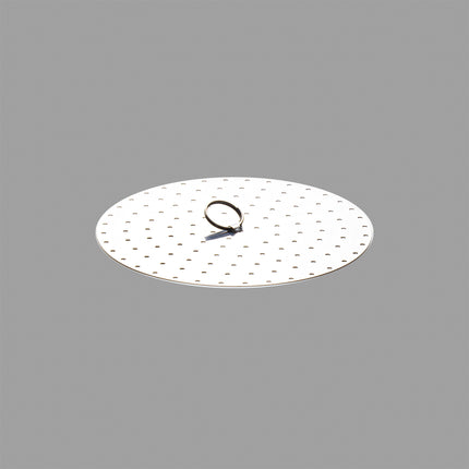 Japanese Stainless Steel Steam Plate for Pan 6.29"D