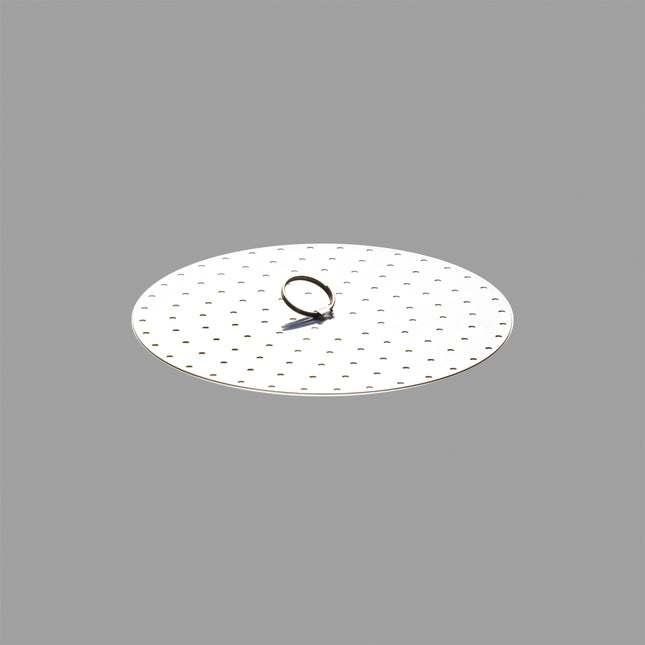 Japanese Stainless Steel Steam Plate for Pan 6.29"D