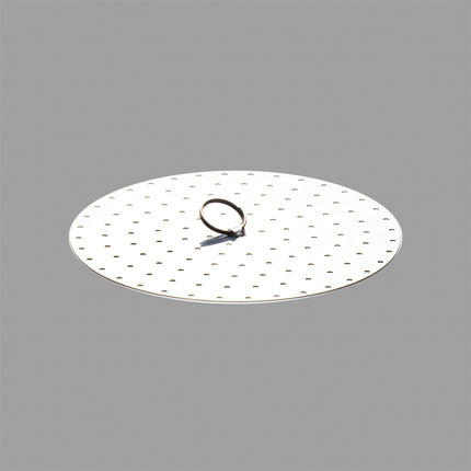 Japanese Stainless Steel Steam Plate for Pan 7.87"D