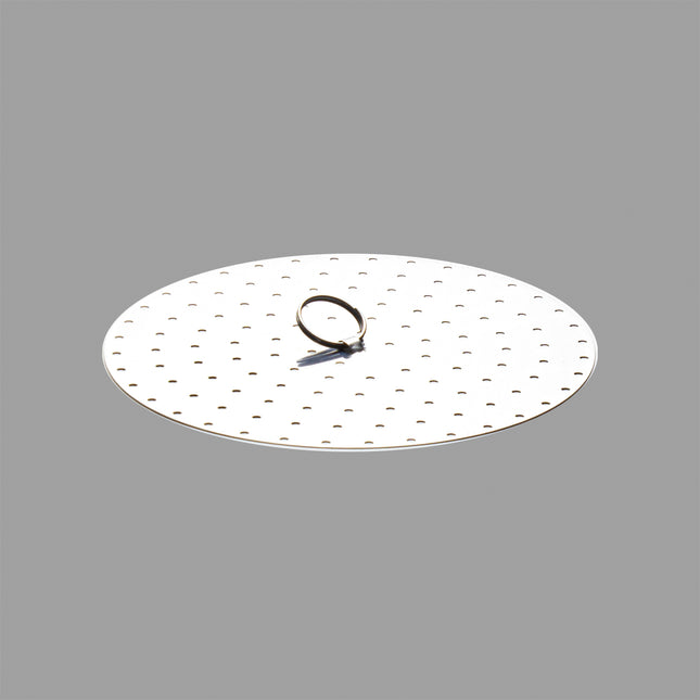 Japanese Stainless Steel Steam Plate for Pan 7.87"D