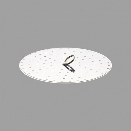 Japanese Stainless Steel Steam Plate for Pan 7.87"D