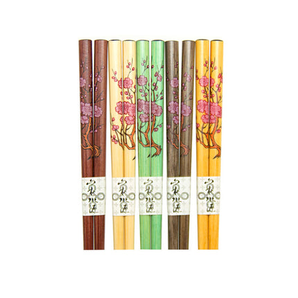 5 Color Wooden Chopsticks Set of 5