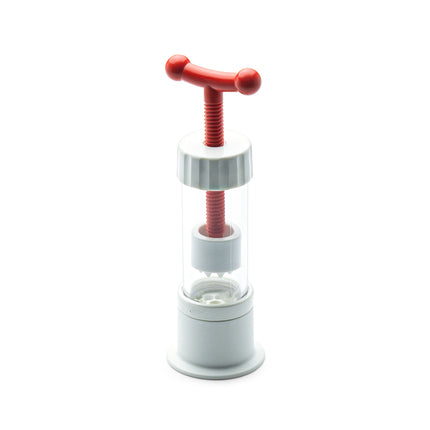 Japanese Garlic Squeezer