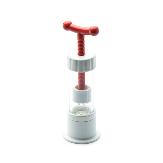 Japanese Garlic Squeezer