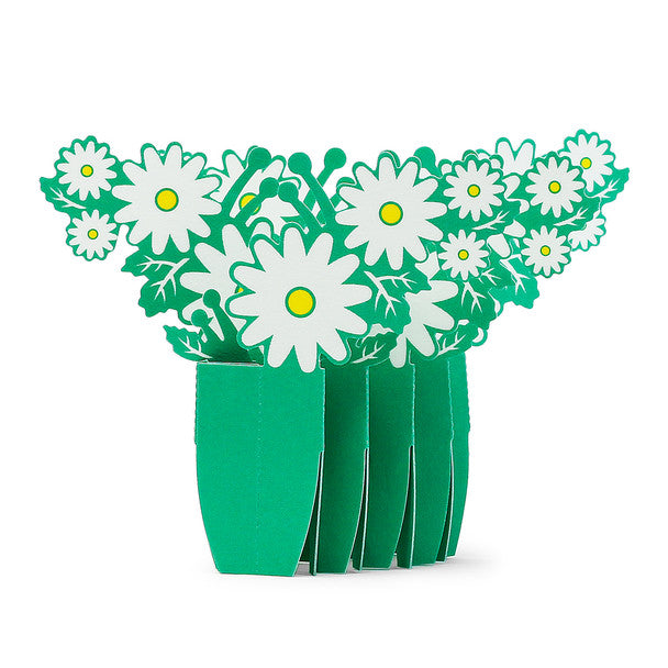 Paper Humidifier - Marguerite Daisy