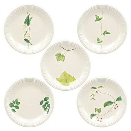 Botanical Leaf Design Porcelain Plate 6PC Set