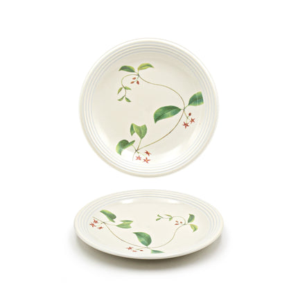Botanical Leaf Design Porcelain Plate 6PC Set