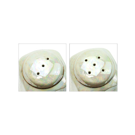 Japanese Porcelain Salt & Pepper Set