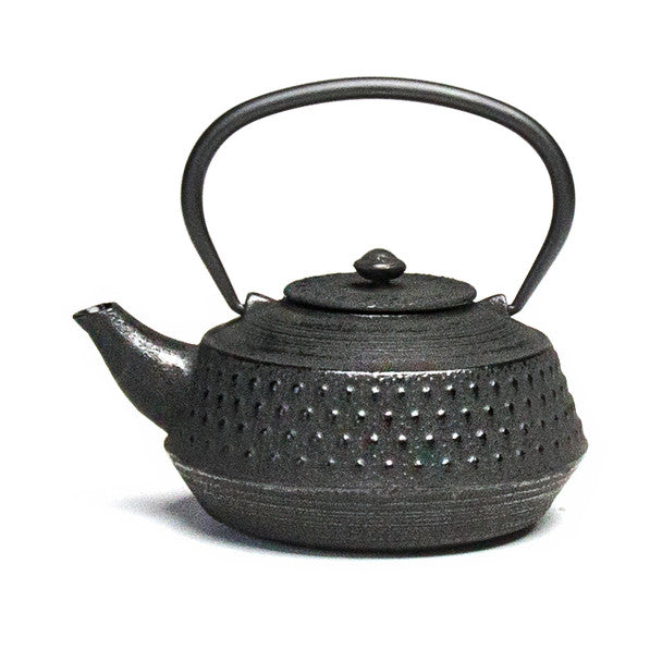 Rikyu Cast Iron Teapot - Black