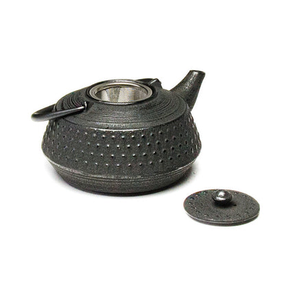 Rikyu Cast Iron Teapot - Black