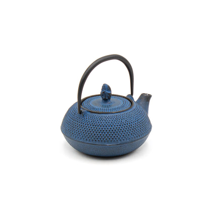 Cast Iron Tea Pot and Cup Set - Blue