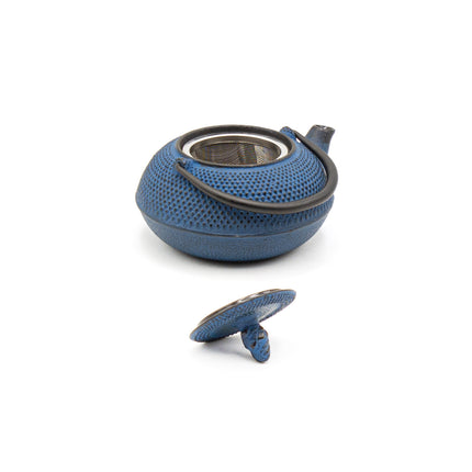 Cast Iron Tea Pot and Cup Set - Blue