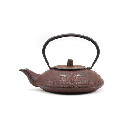 Cast Iron Tea Pot and Cup - Brown/Black